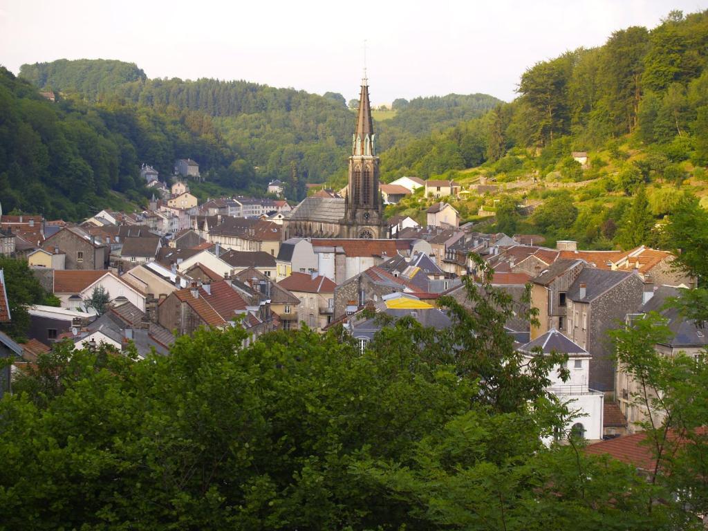 Aux Studios Du Parc Plombieres-les-Bains Bagian luar foto