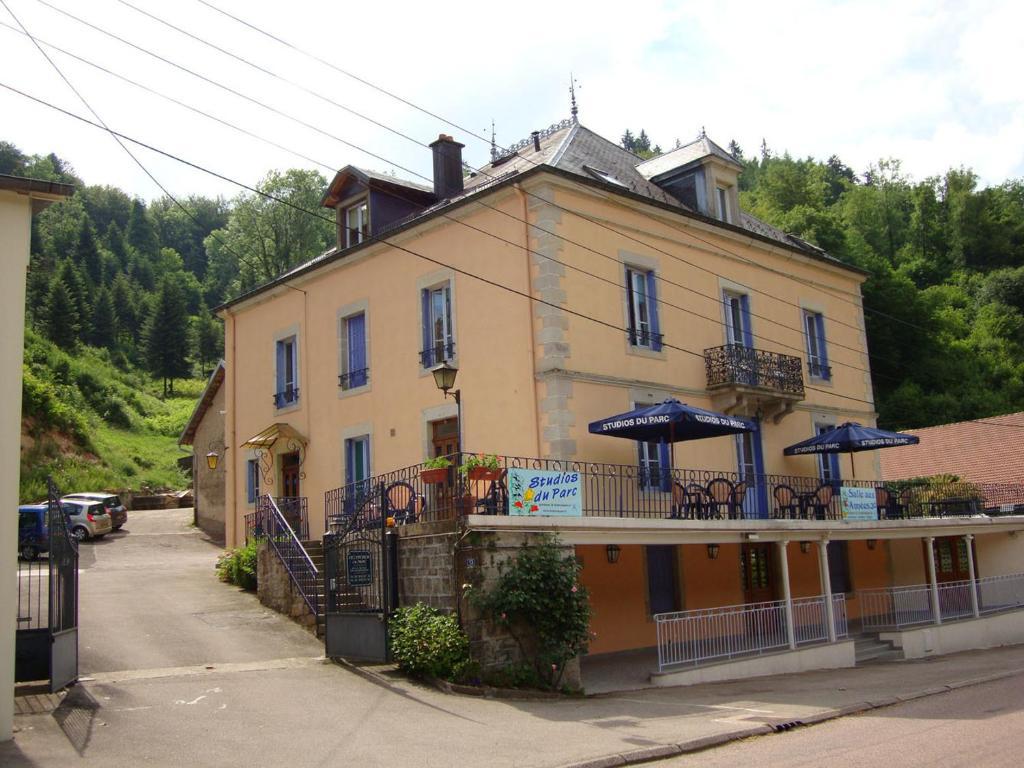 Aux Studios Du Parc Plombieres-les-Bains Bagian luar foto
